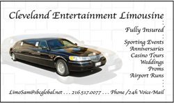  
full color business cards limousine limo
